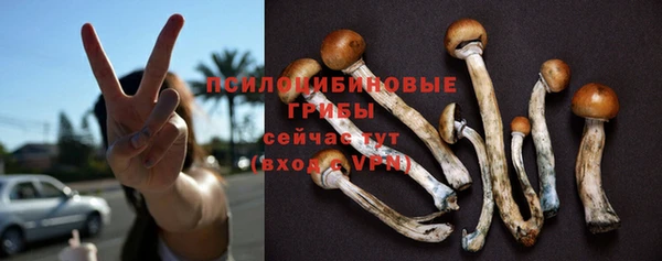 спайс Алзамай