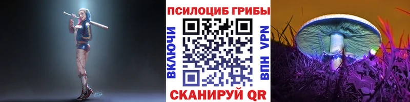 Псилоцибиновые грибы Magic Shrooms  Кудрово 